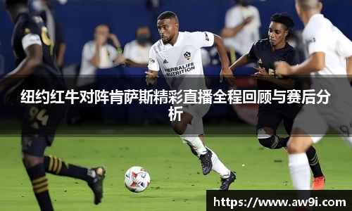 三亿体育官网